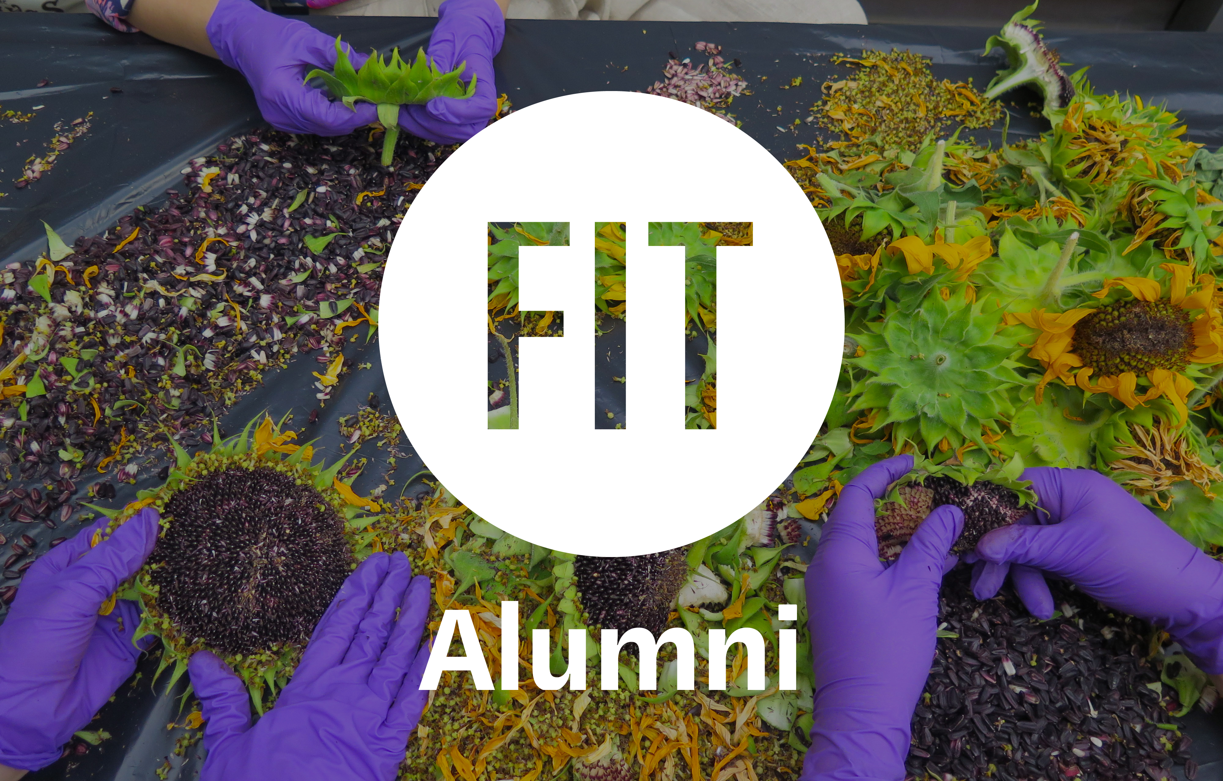 FIT alumni logo and dye garden image